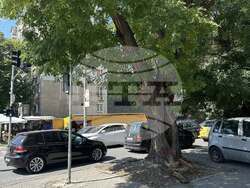 Снимка: Община Стара Загора