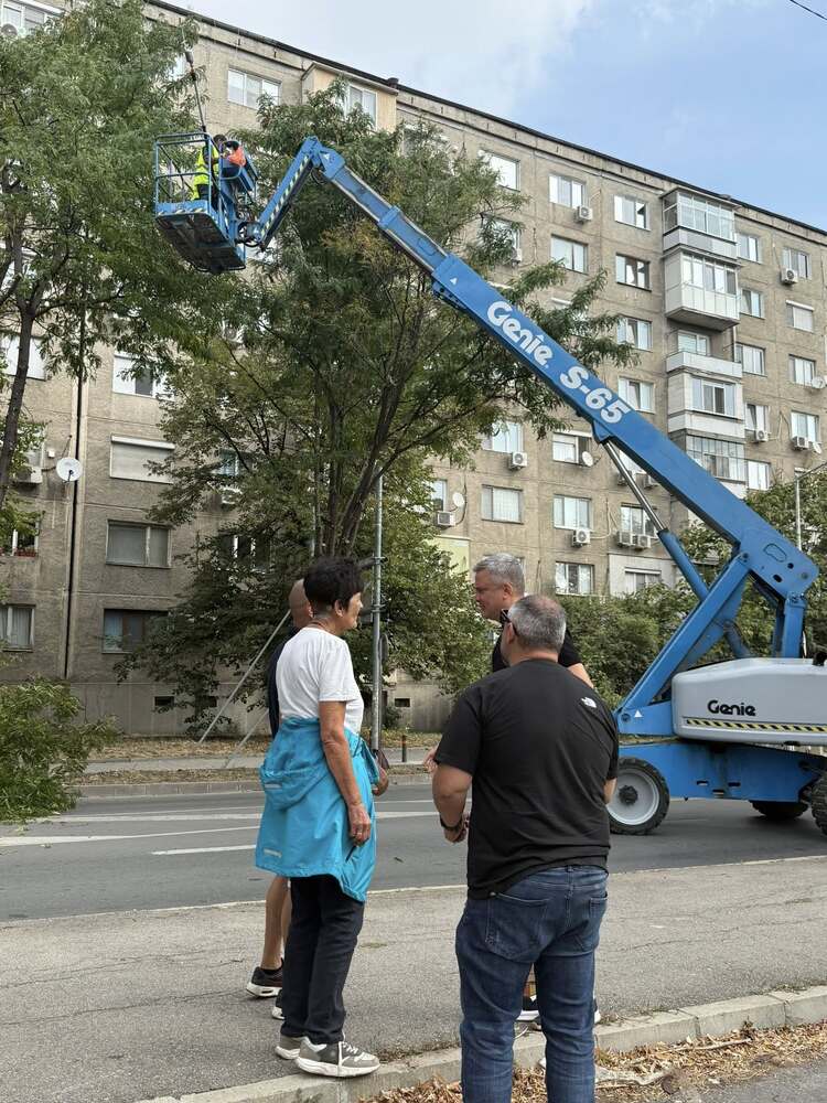 Оформят короните на дърветата по бул. „Славянски“ като част от грижата за зелената среда на Стара Загора