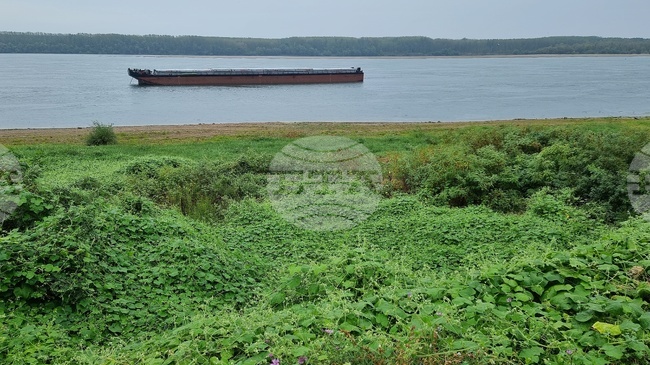 Bulgaria and Romania to Build AI-Based Cross-Border System to Monitor Danube River Pollution