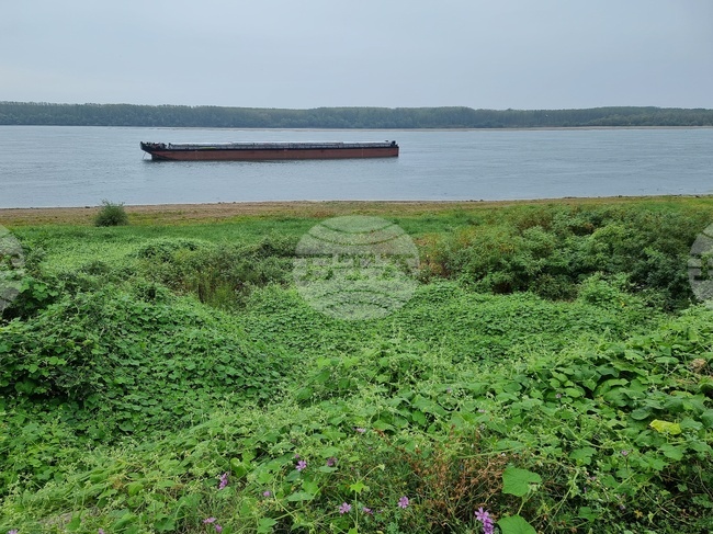 Bulgaria and Romania to Build AI-Based Cross-Border System to Monitor Danube River Pollution