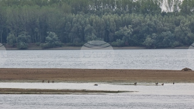 Круизен кораб с над 200 души на борда заседна в река Дунав заради ниско ниво на водите