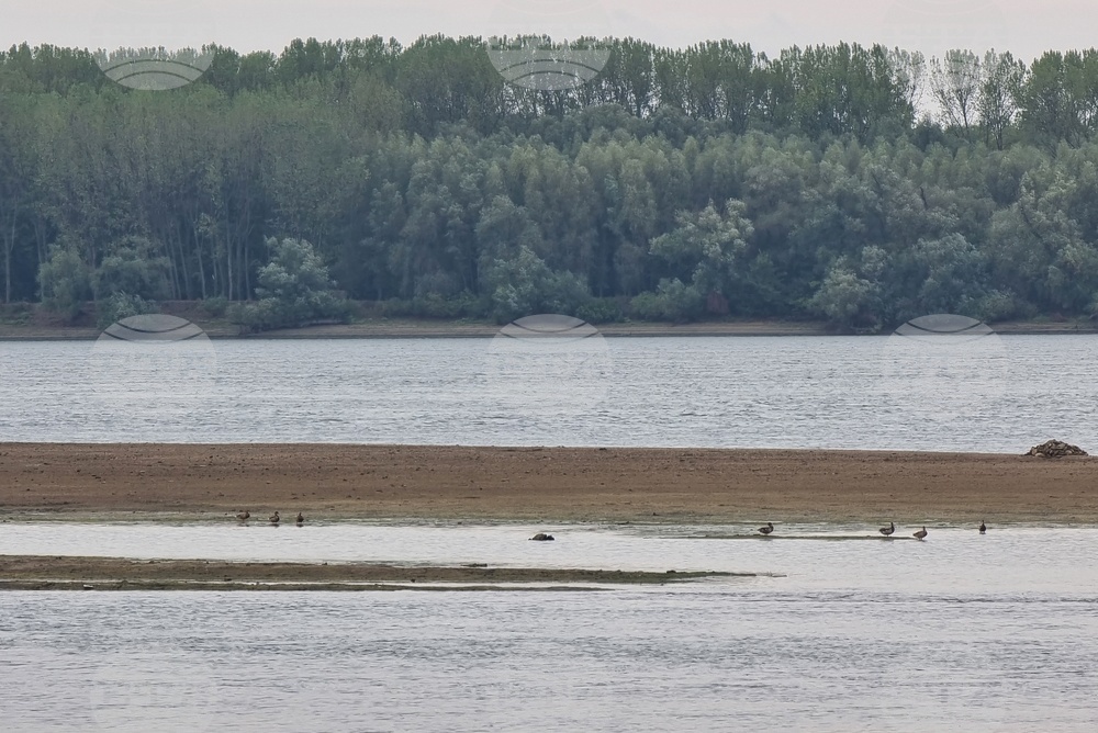 Круизен кораб с над 200 души на борда заседна в река Дунав заради ниско ниво на водите