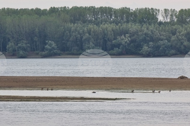 Круизен кораб с над 200 души на борда заседна в река Дунав заради ниско ниво на водите