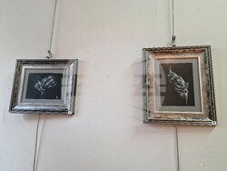 Пазарджик - "Докосване" - изложба - Теодора Нанова