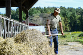 Vermont Drought Livestock Farmers