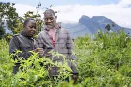 Malawi AI Farmers