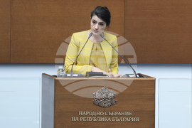 Народно събрание  - парламентарен контрол