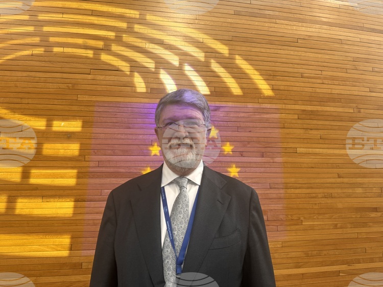 EP Rapporteur on Serbia Tonino Picula: No Conditions for Free Elections, Social Polarization Is the Alternative