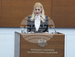 Народно събрание  - парламентарен контрол