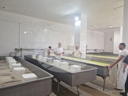 Търговище - „Стандарт милк 2015“ ООД - производство на сирене и млечни продукти