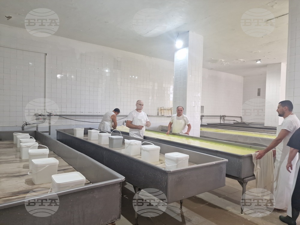 Търговище - „Стандарт милк 2015“ ООД - производство на сирене и млечни продукти