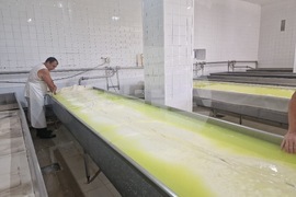 Търговище - „Стандарт милк 2015“ ООД - производство на сирене и млечни продукти