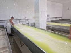 Търговище - „Стандарт милк 2015“ ООД - производство на сирене и млечни продукти