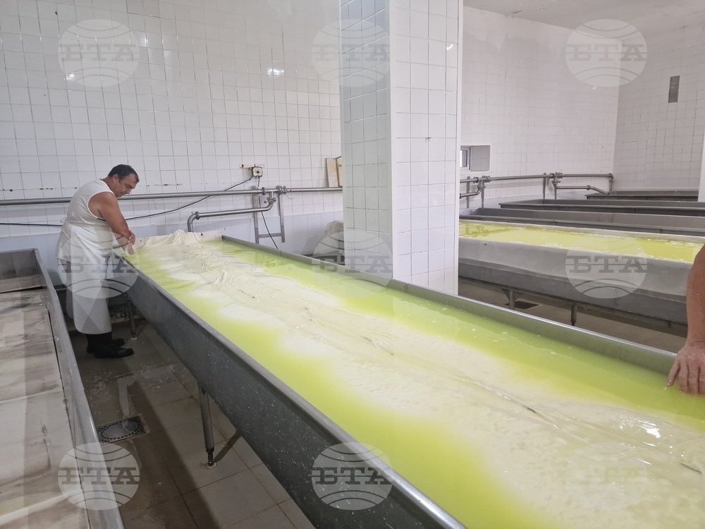 Търговище - „Стандарт милк 2015“ ООД - производство на сирене и млечни продукти