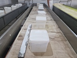 Търговище - „Стандарт милк 2015“ ООД - производство на сирене и млечни продукти