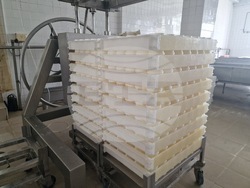 Търговище - „Стандарт милк 2015“ ООД - производство на сирене и млечни продукти