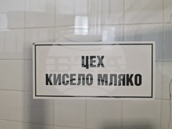 Търговище - „Стандарт милк 2015“ ООД - производство на сирене и млечни продукти