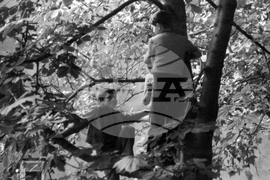 Детски игри в софийските дворове