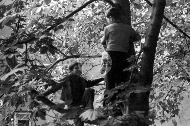 Детски игри в софийските дворове