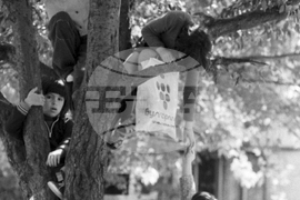 Детски игри в софийските дворове