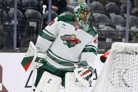 Penguins Fleury Hockey