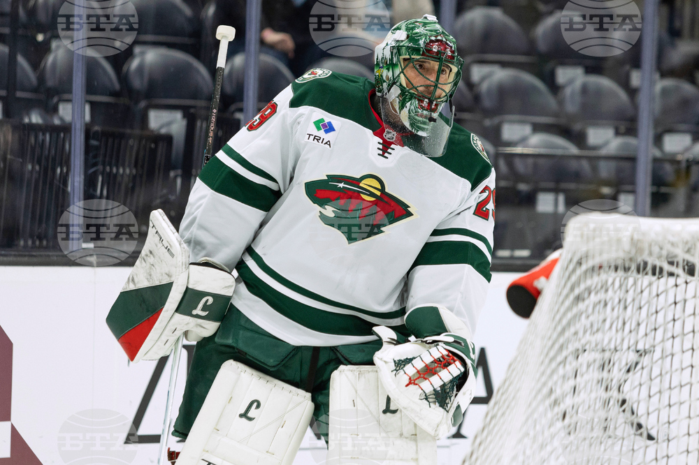 Penguins Fleury Hockey