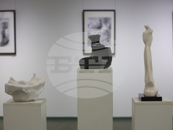 Благоевград - Неджми Мурат - изложба