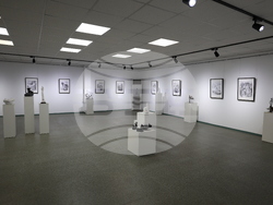 Благоевград - Неджми Мурат - изложба