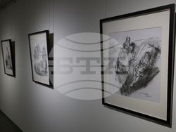 Благоевград - Неджми Мурат - изложба