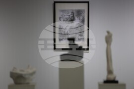 Благоевград - Неджми Мурат - изложба