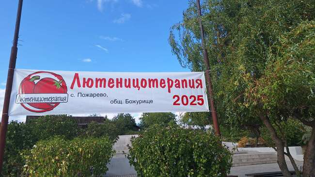 Жителите на село Пожарево в община Божурище организират традиционната „Лютеницотерапия“