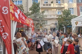 Алея на книгата - Александър Стоянов - представяне