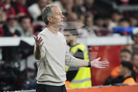 Germany Soccer Bundesliga