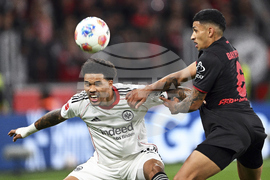 Germany Soccer Bundesliga