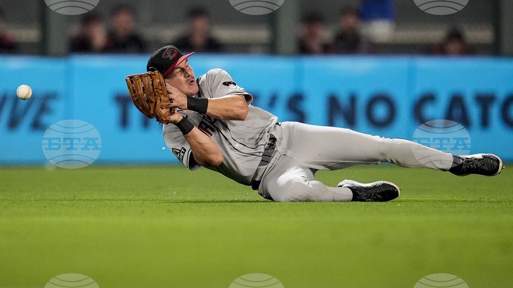 APTOPIX Diamondbacks Twins Baseball