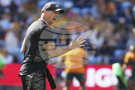 Australia Argentina Rugby