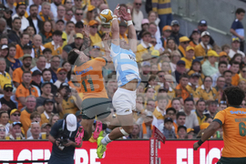 Australia Argentina Rugby