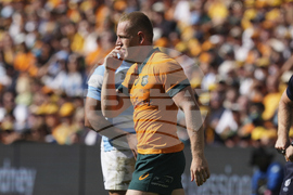 Australia Argentina Rugby