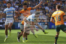 Australia Argentina Rugby