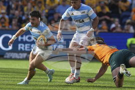 Australia Argentina Rugby