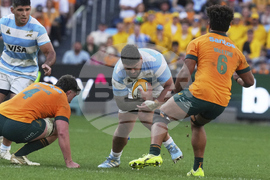 Australia Argentina Rugby