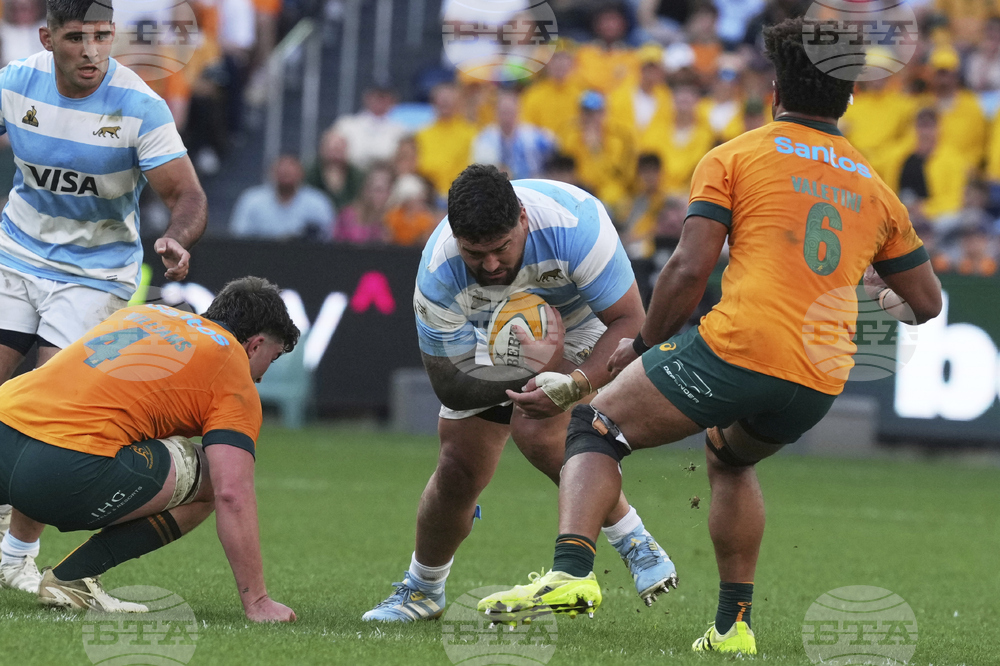 Australia Argentina Rugby