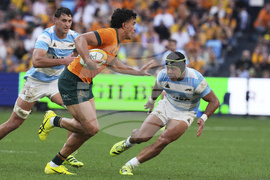 Australia Argentina Rugby