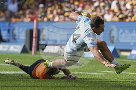 Australia Argentina Rugby