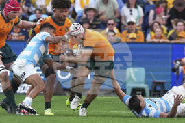 Australia Argentina Rugby