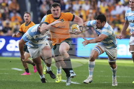 Australia Argentina Rugby