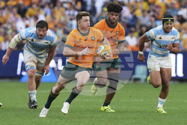 Australia Argentina Rugby