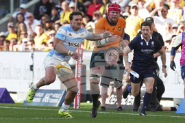 Australia Argentina Rugby