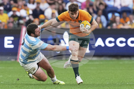 Australia Argentina Rugby