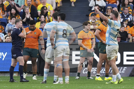 Australia Argentina Rugby